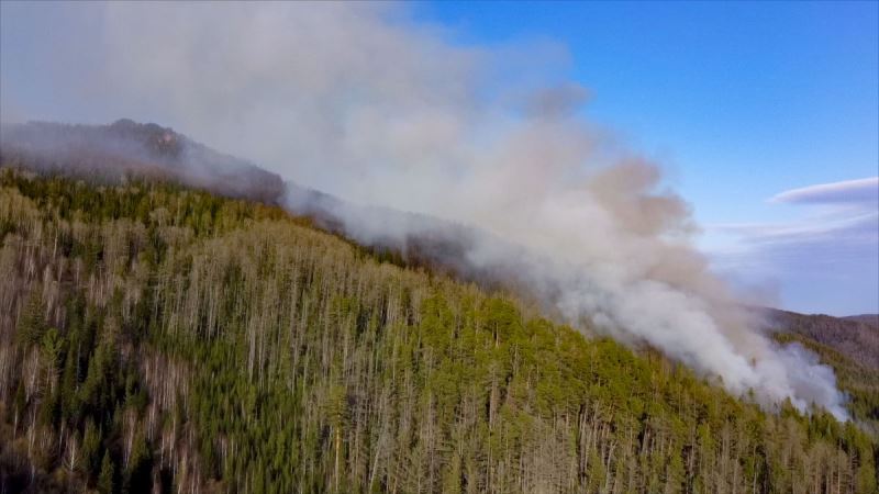 В выходные в Хакасии ликвидирован один лесной пожар